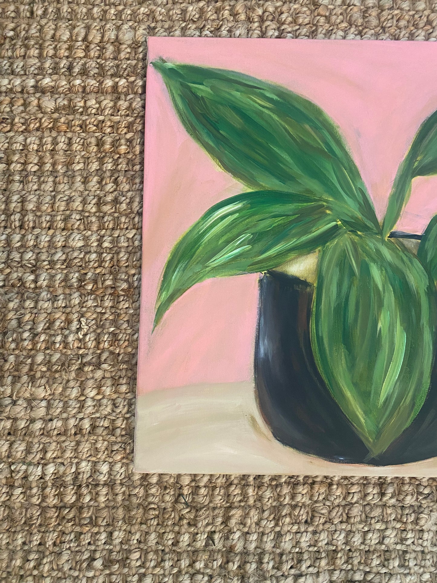 Potted Plant with Pink