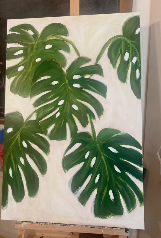 Monstera Plant