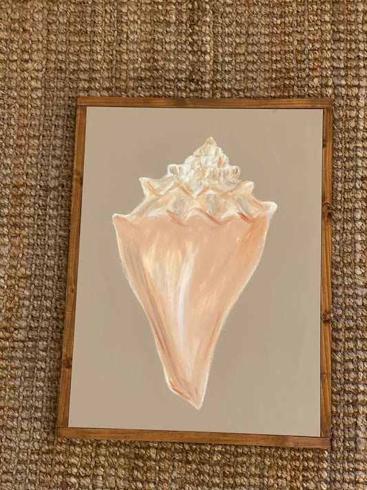 Conch Shell