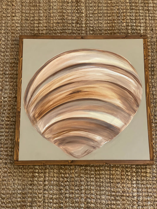 Striped Seashell