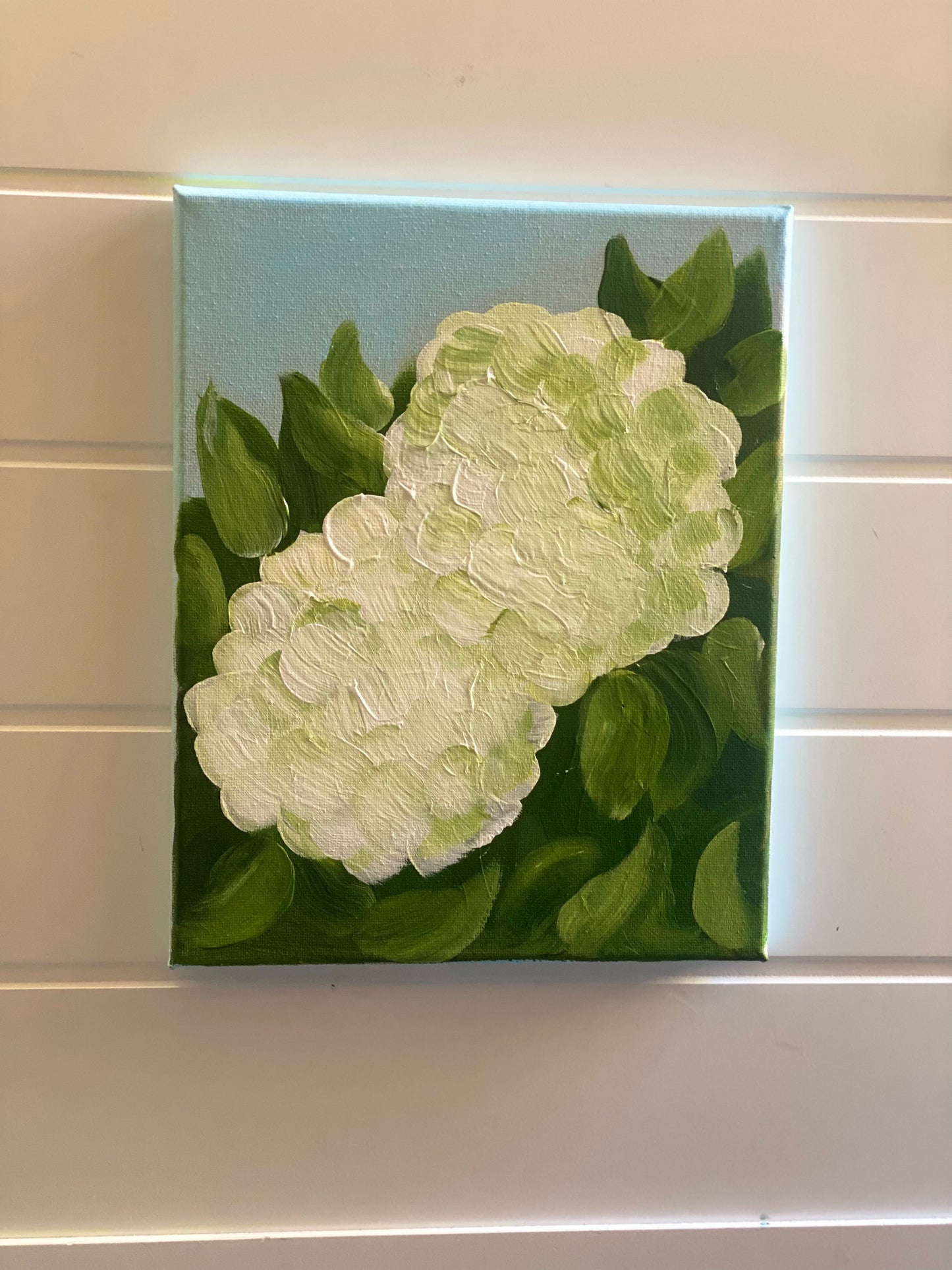 Mother’s Day Garden Mini White Hydrangeas