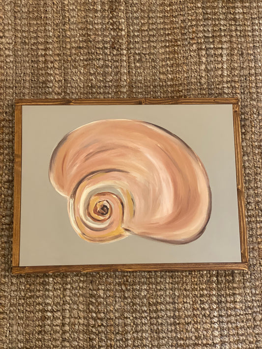 Spiral Shell