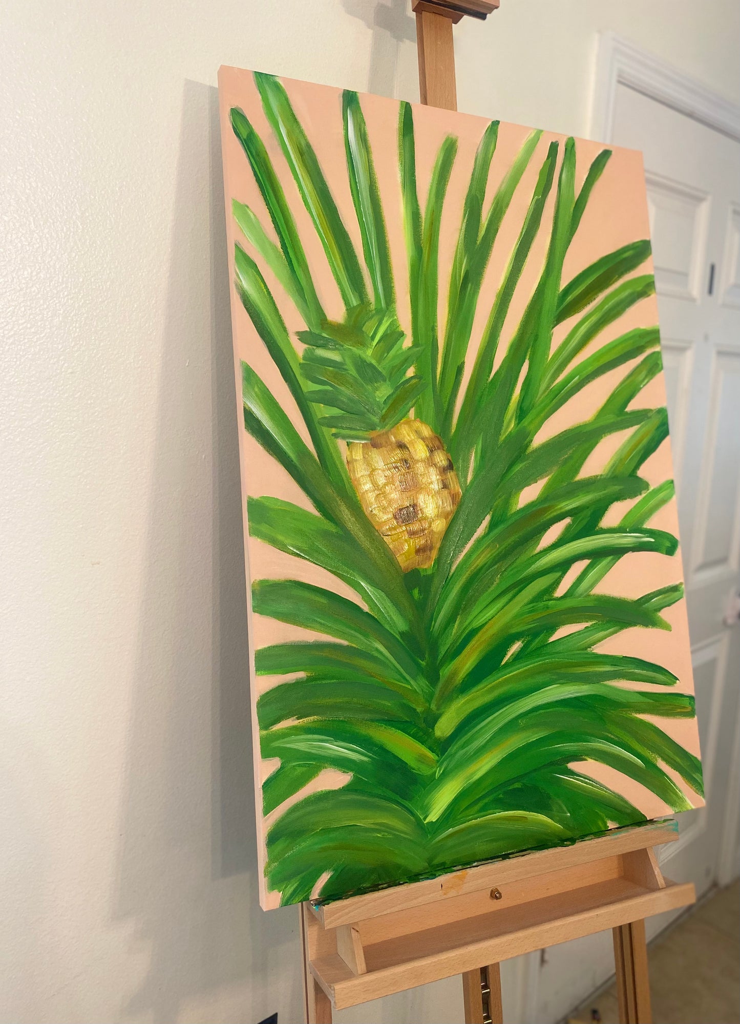 Pineapple Plant